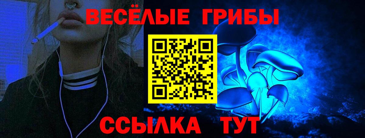 Волгодонск  Галлюциногенные грибы мухоморы  Псилоцибиновые грибы Magic Shrooms  Вход с VPN 