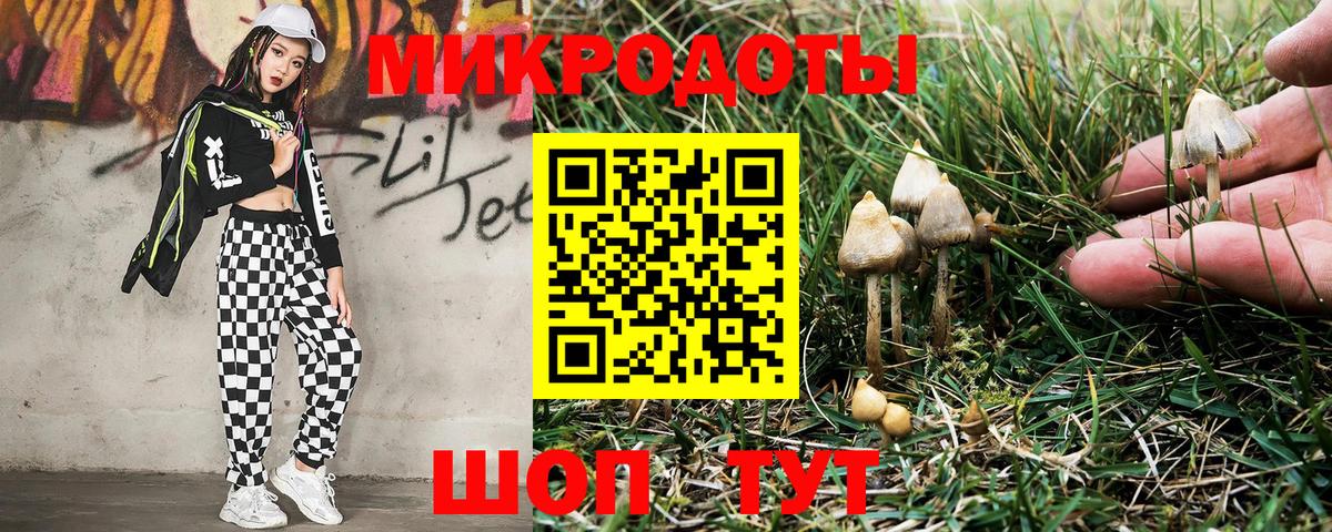 Псилоцибиновые грибы Psilocybine cubensis Волгодонск